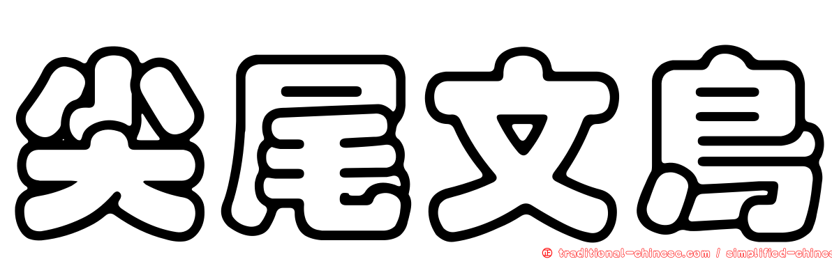 尖尾文鳥