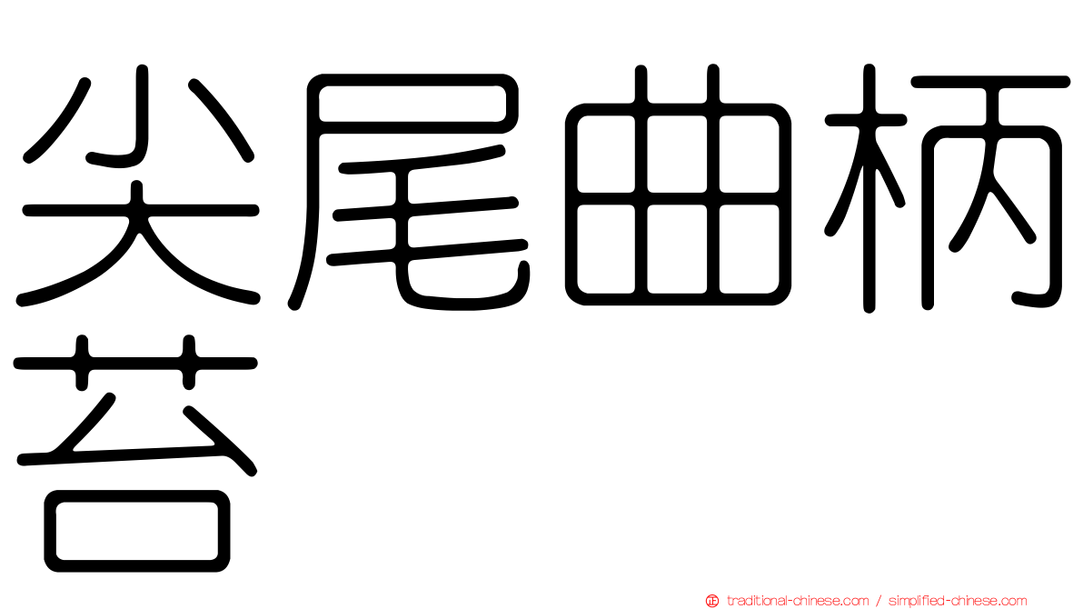 尖尾曲柄苔