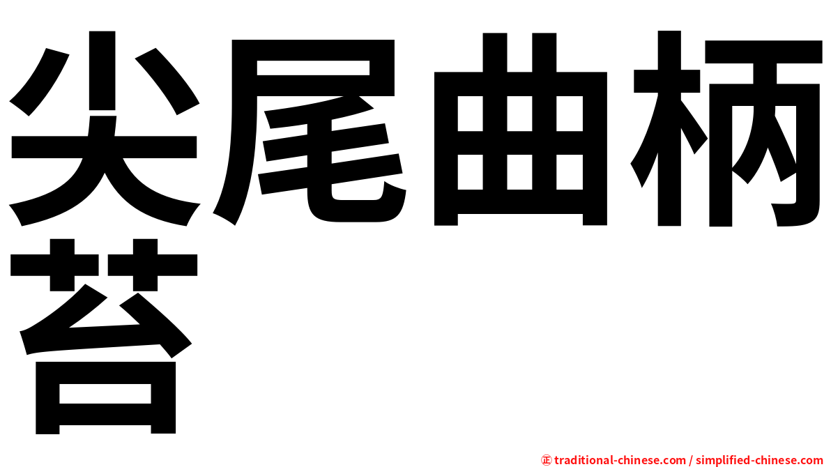 尖尾曲柄苔