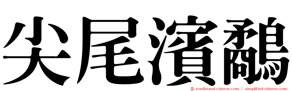 尖尾濱鷸