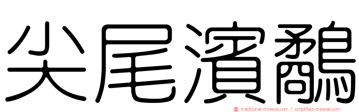 尖尾濱鷸