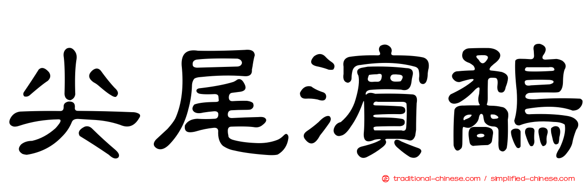 尖尾濱鷸