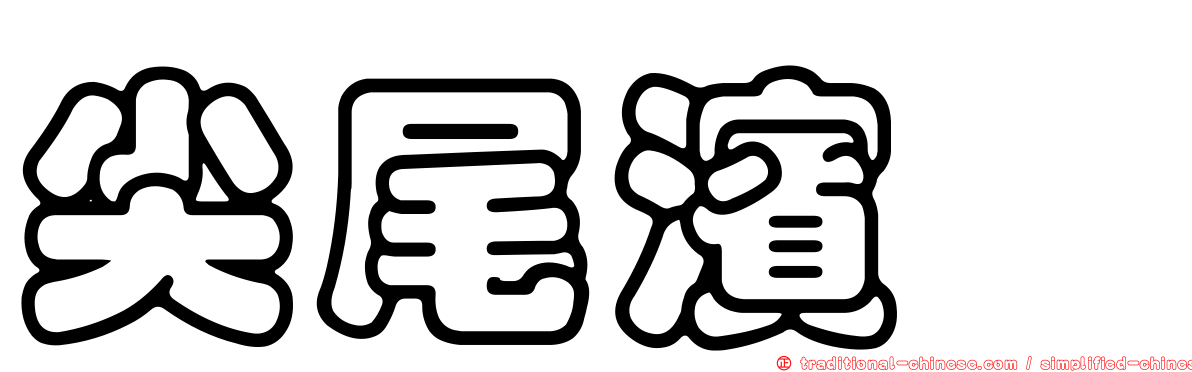 尖尾濱鷸