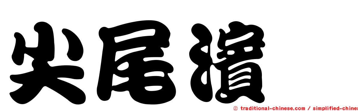 尖尾濱鷸