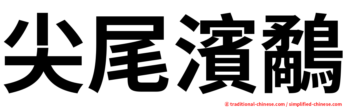 尖尾濱鷸