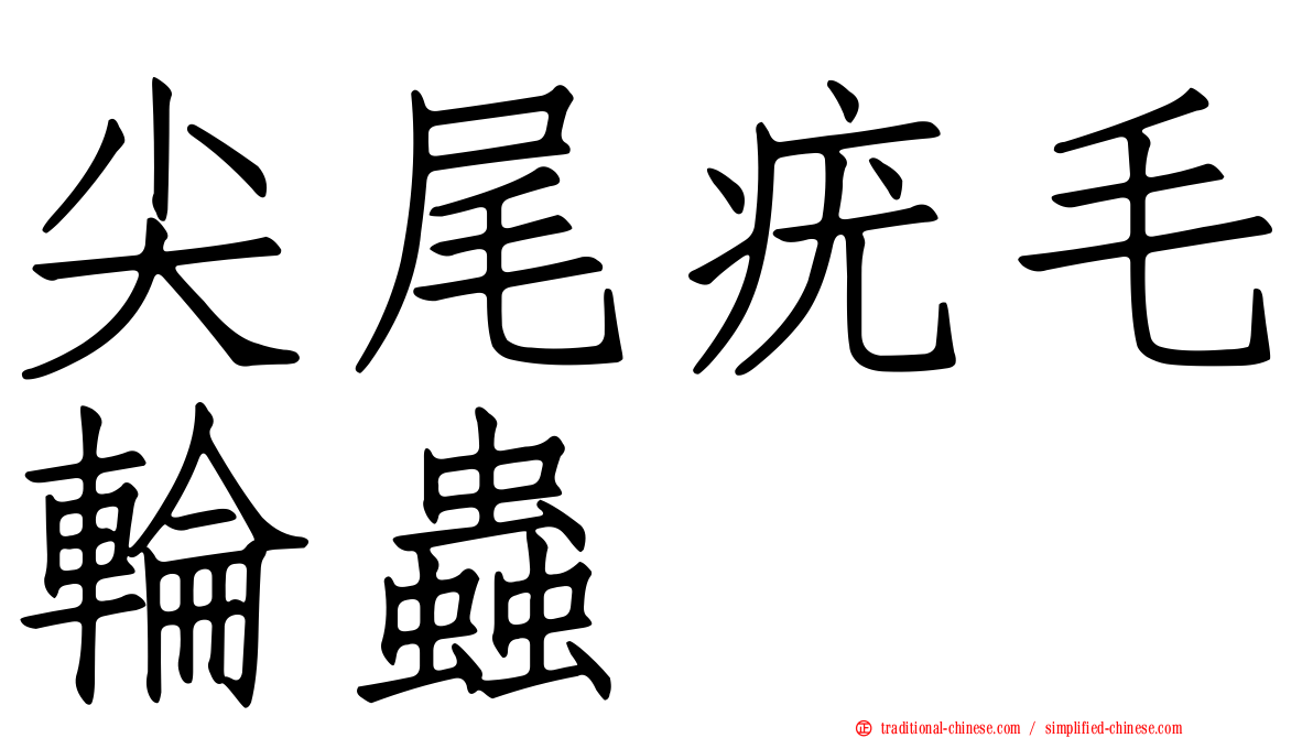 尖尾疣毛輪蟲