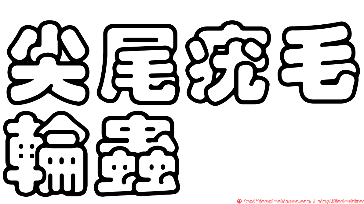 尖尾疣毛輪蟲