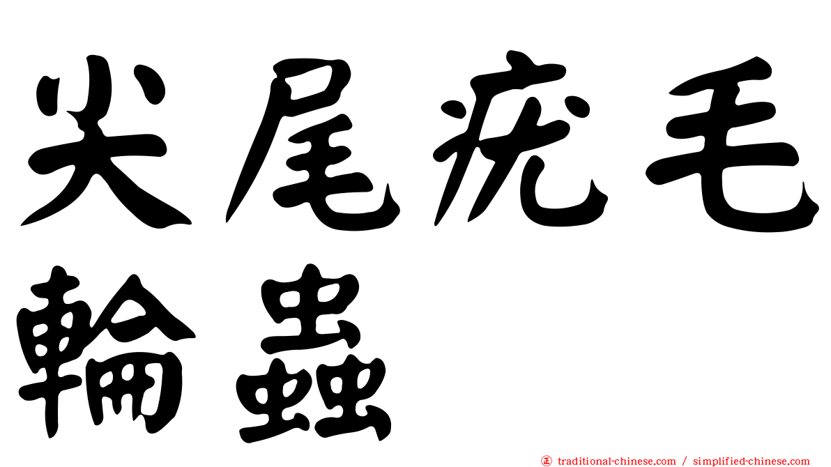 尖尾疣毛輪蟲