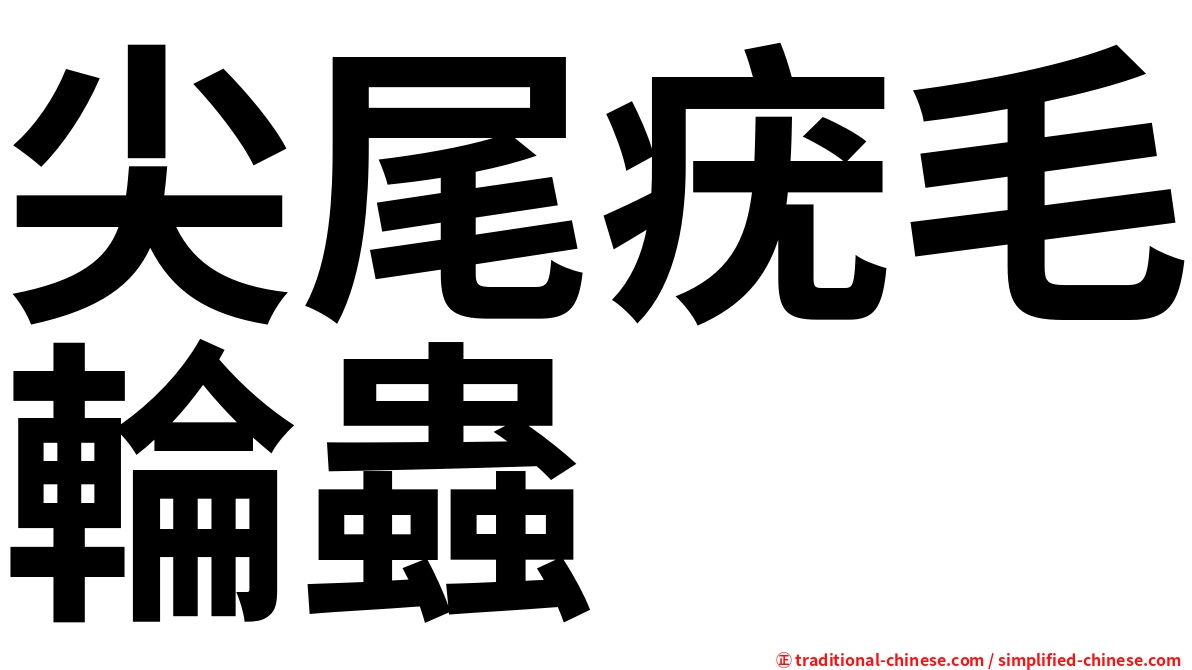 尖尾疣毛輪蟲