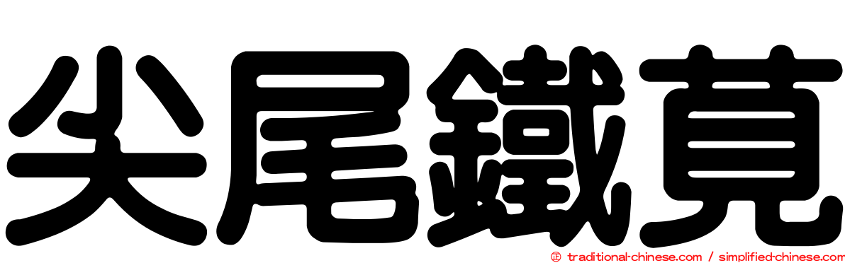 尖尾鐵莧