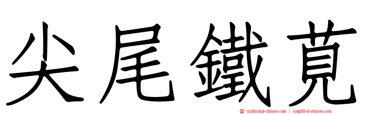 尖尾鐵莧
