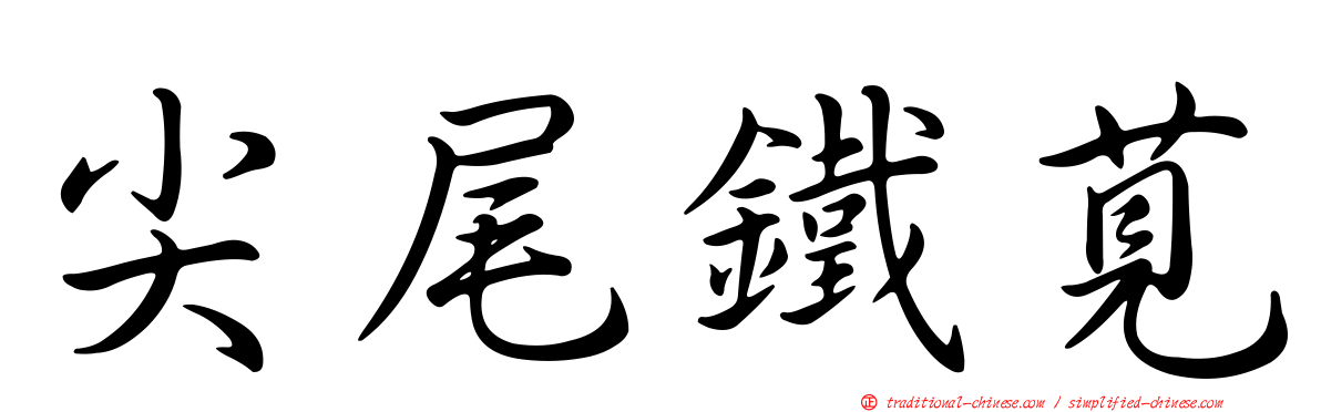 尖尾鐵莧