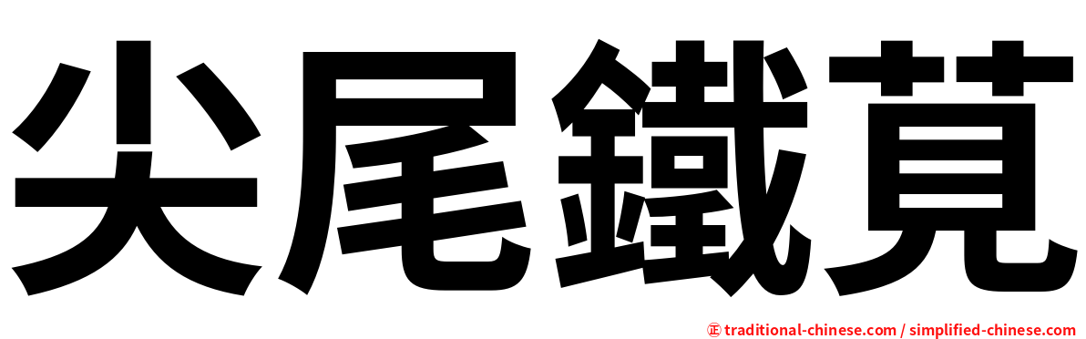 尖尾鐵莧