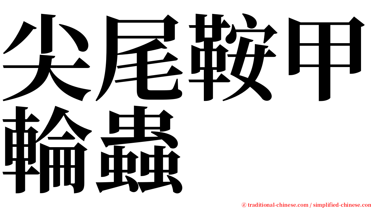 尖尾鞍甲輪蟲 serif font