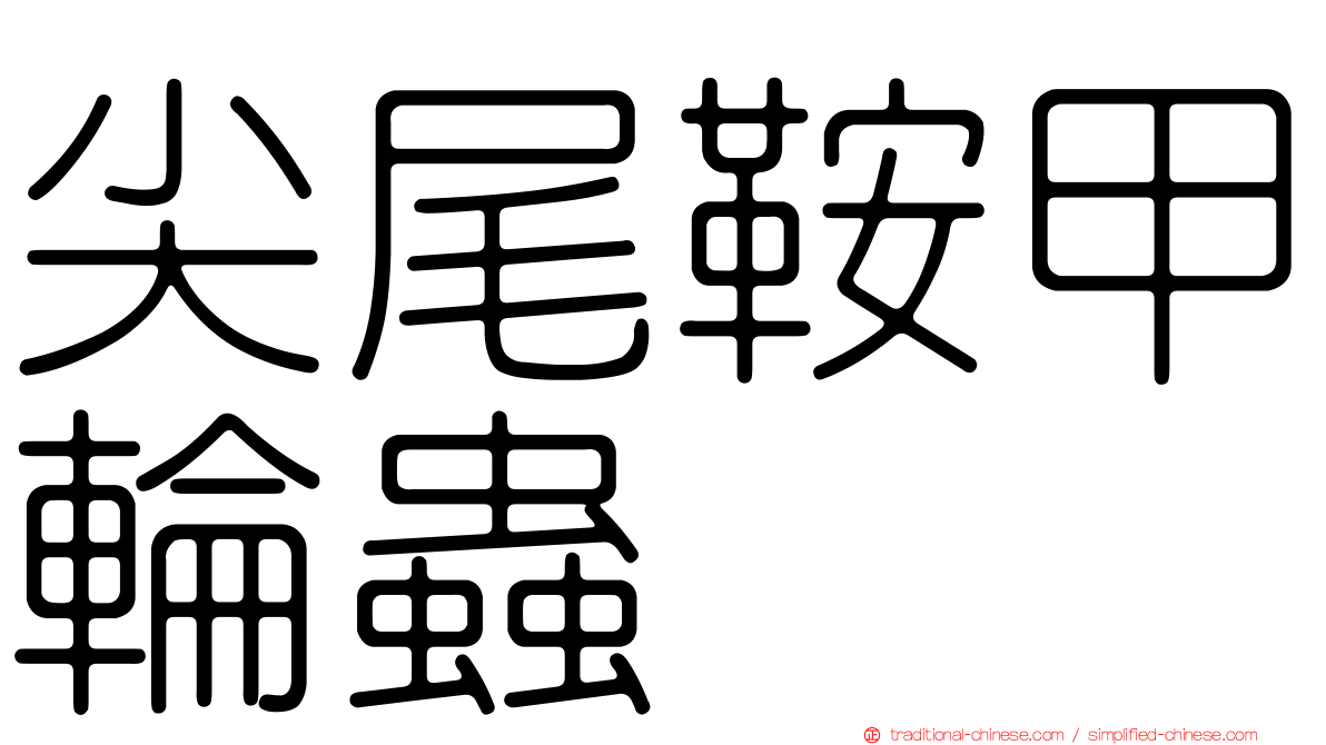 尖尾鞍甲輪蟲