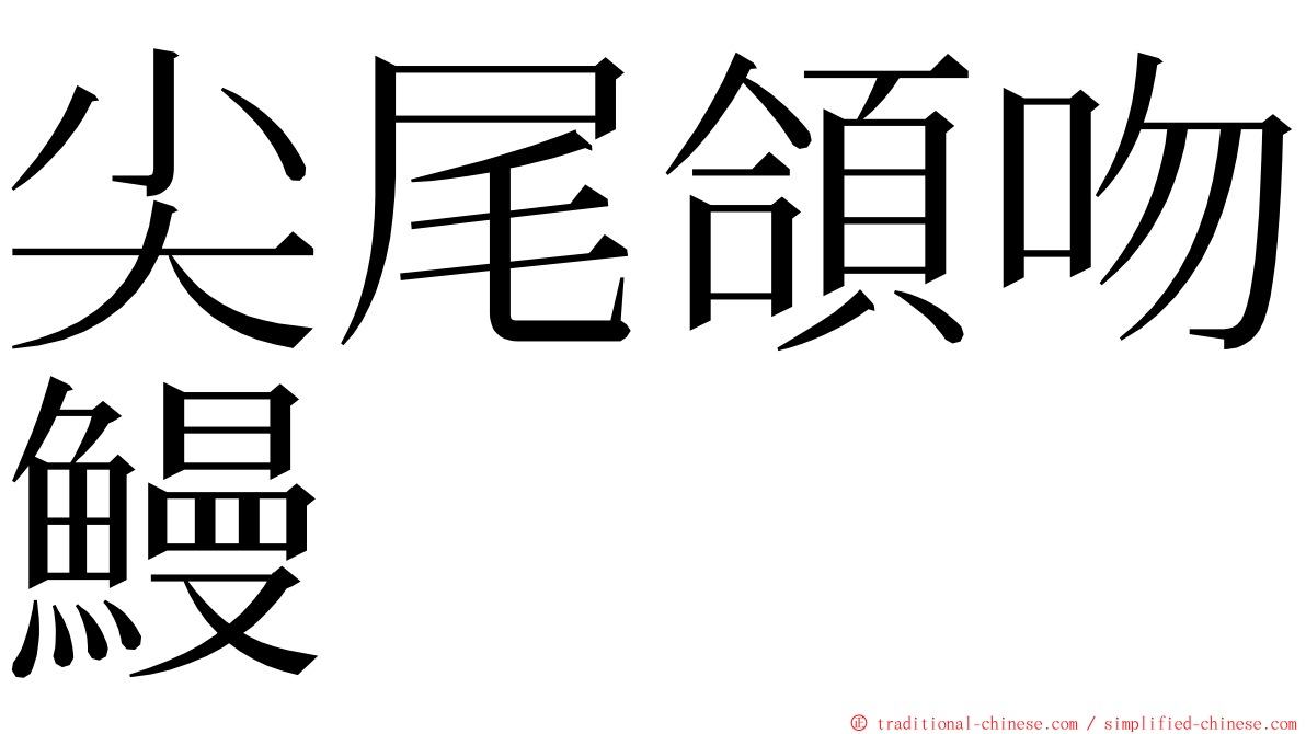 尖尾頜吻鰻 ming font