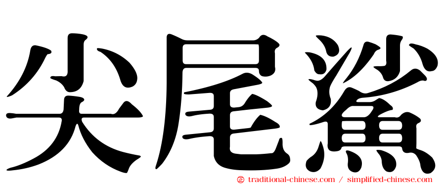 尖尾鯊