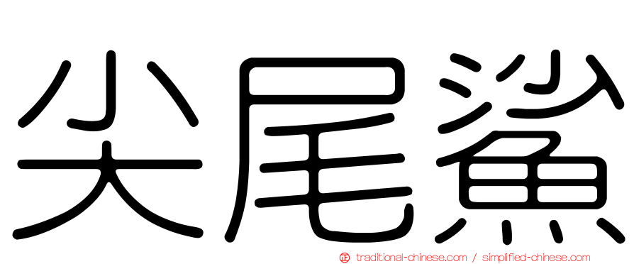 尖尾鯊