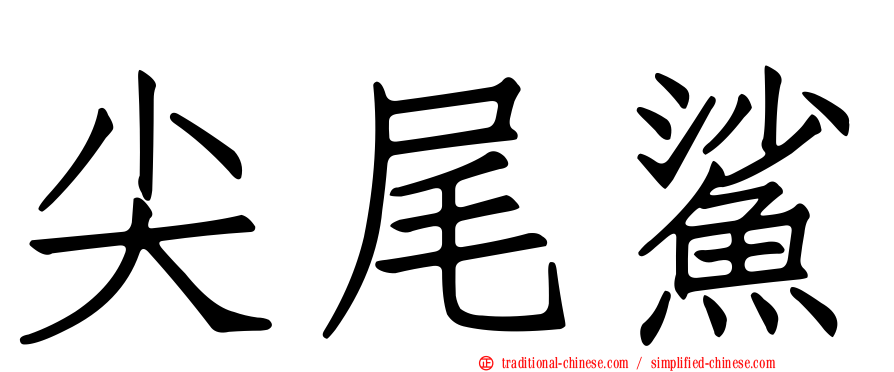 尖尾鯊