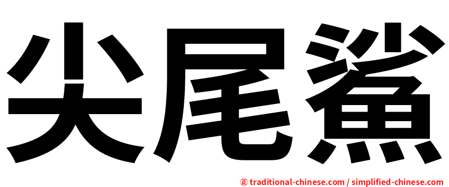 尖尾鯊