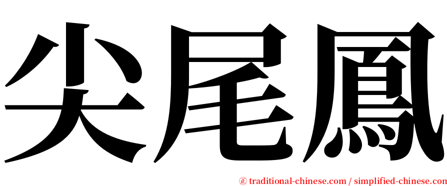 尖尾鳳 serif font