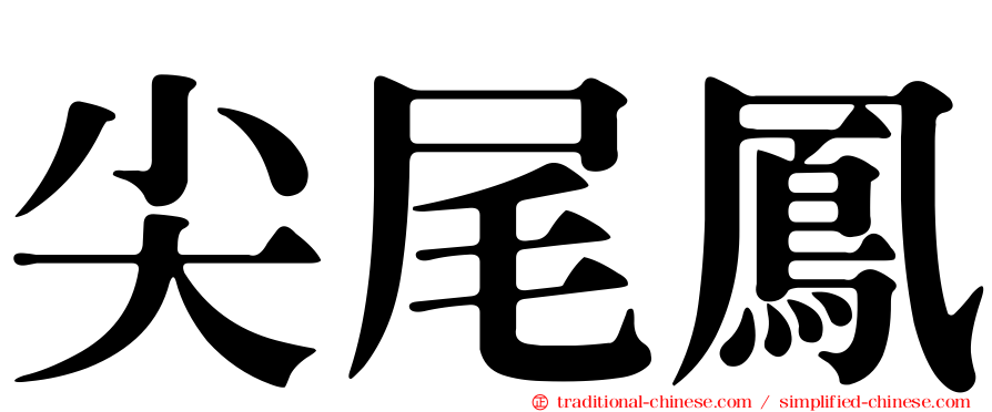 尖尾鳳