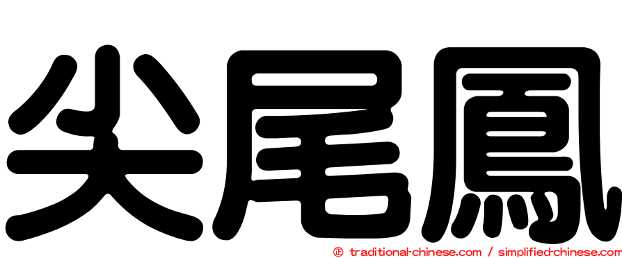 尖尾鳳