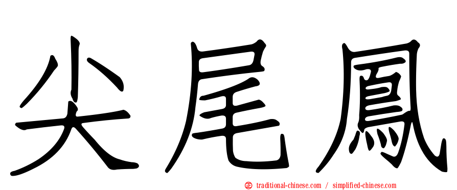 尖尾鳳