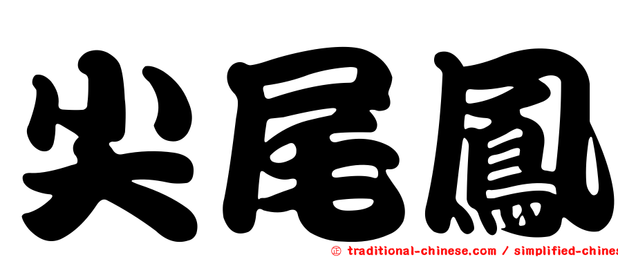尖尾鳳