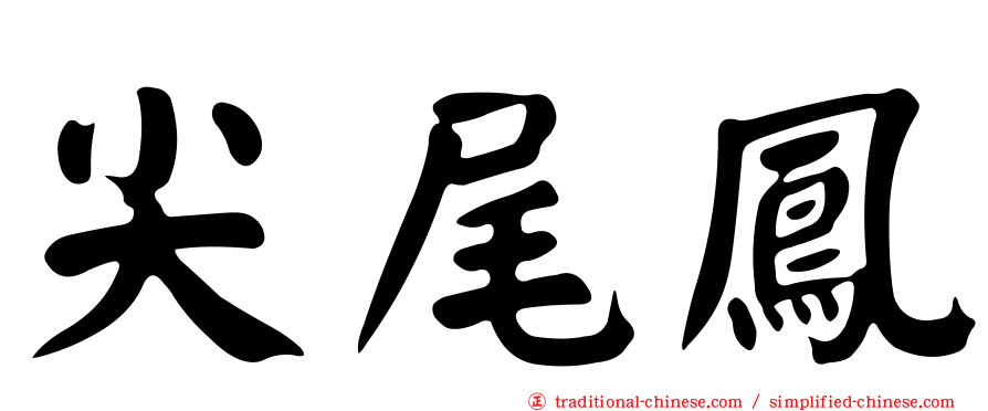 尖尾鳳