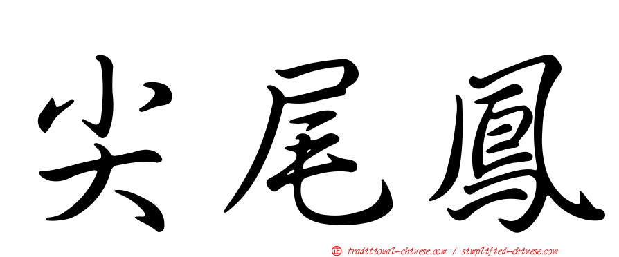 尖尾鳳