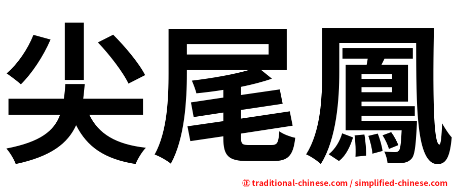 尖尾鳳