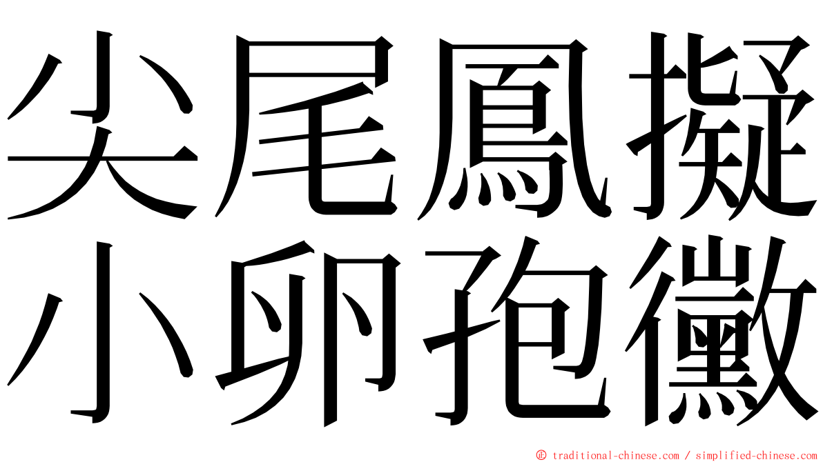 尖尾鳳擬小卵孢黴 ming font