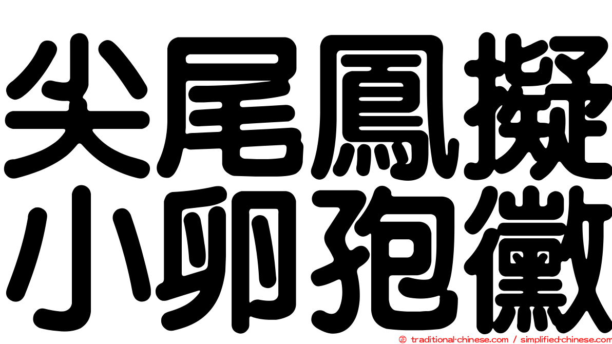 尖尾鳳擬小卵孢黴