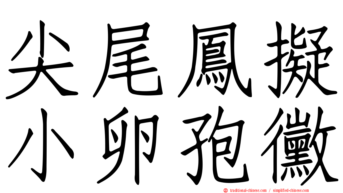 尖尾鳳擬小卵孢黴