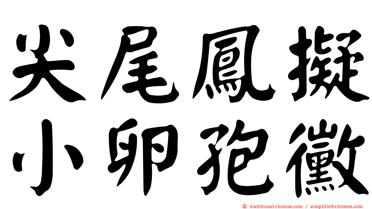 尖尾鳳擬小卵孢黴