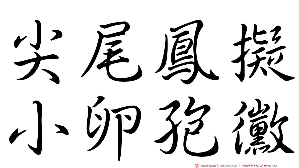 尖尾鳳擬小卵孢黴