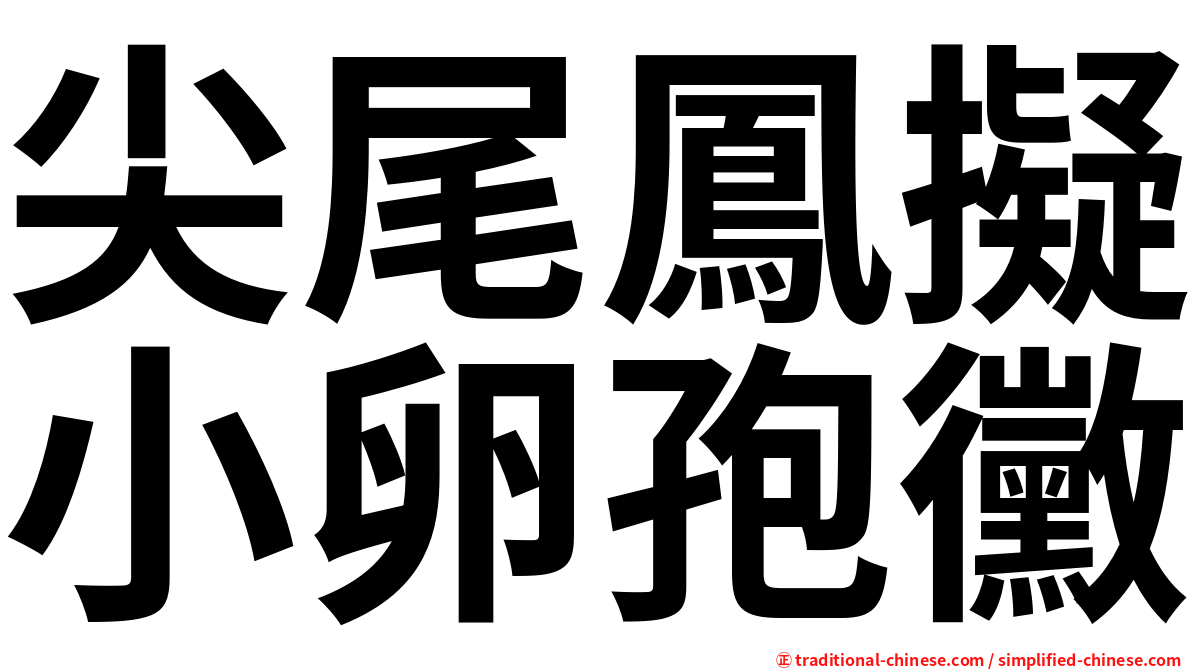 尖尾鳳擬小卵孢黴