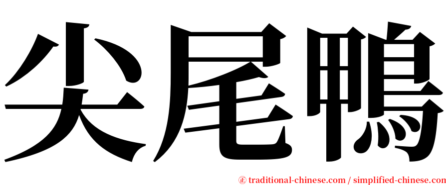尖尾鴨 serif font