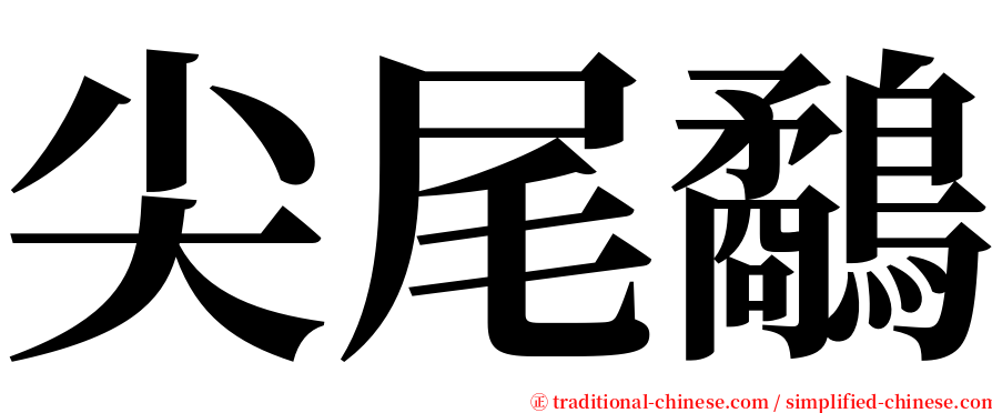 尖尾鷸 serif font