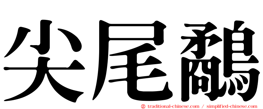 尖尾鷸