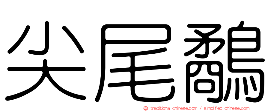 尖尾鷸