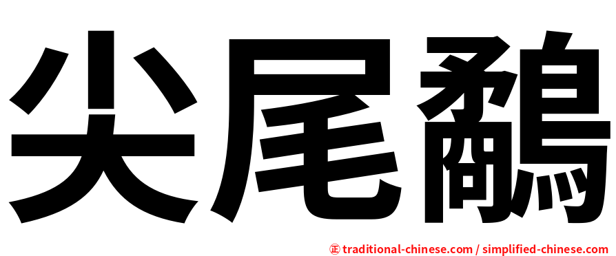 尖尾鷸