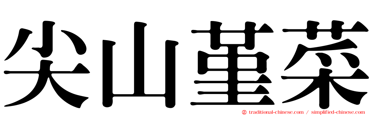 尖山堇菜