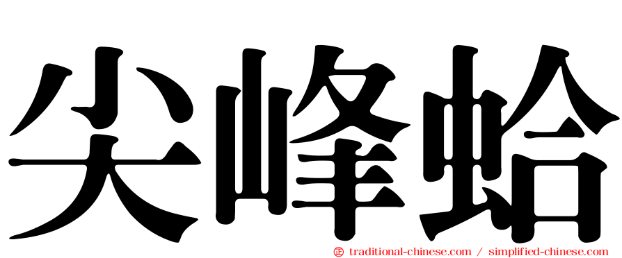 尖峰蛤