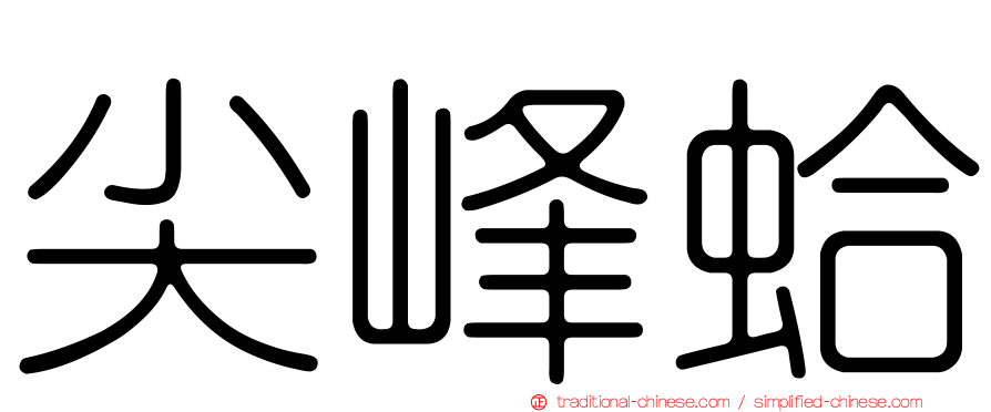 尖峰蛤