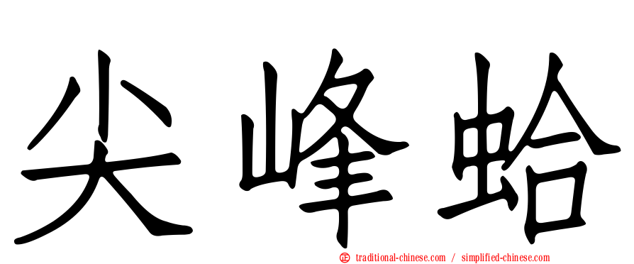 尖峰蛤