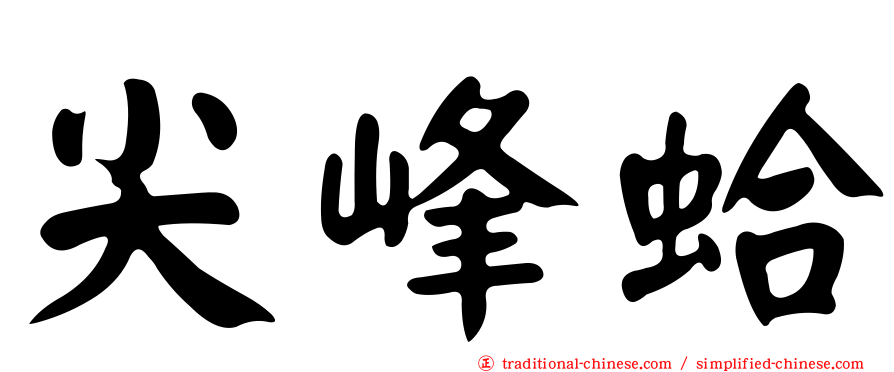尖峰蛤