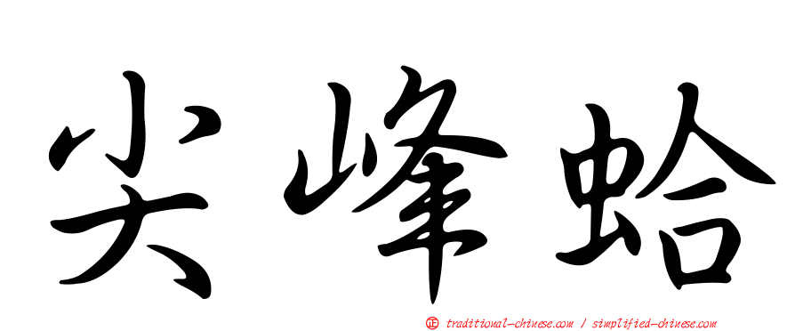 尖峰蛤