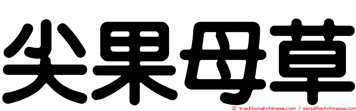 尖果母草